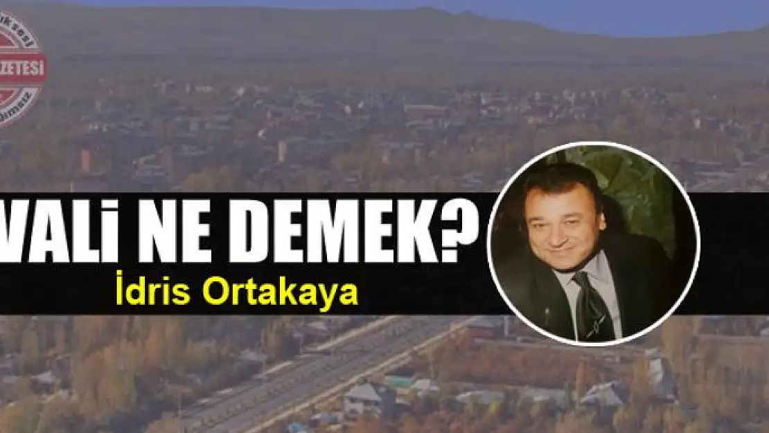 Vali Ne Demek?