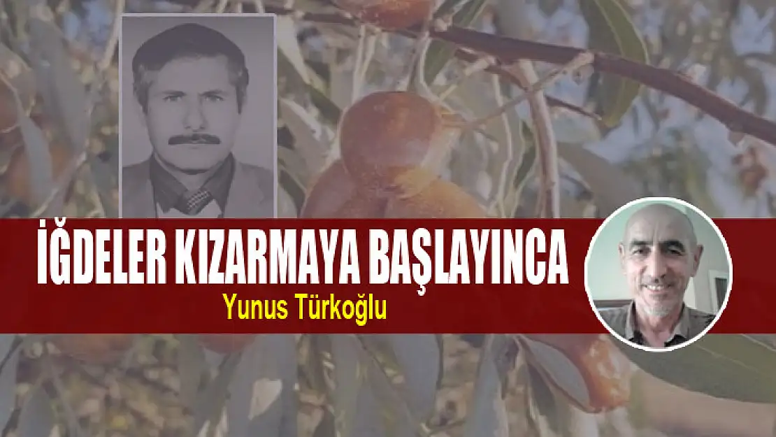 İğdeler Kızarmaya Başlayınca