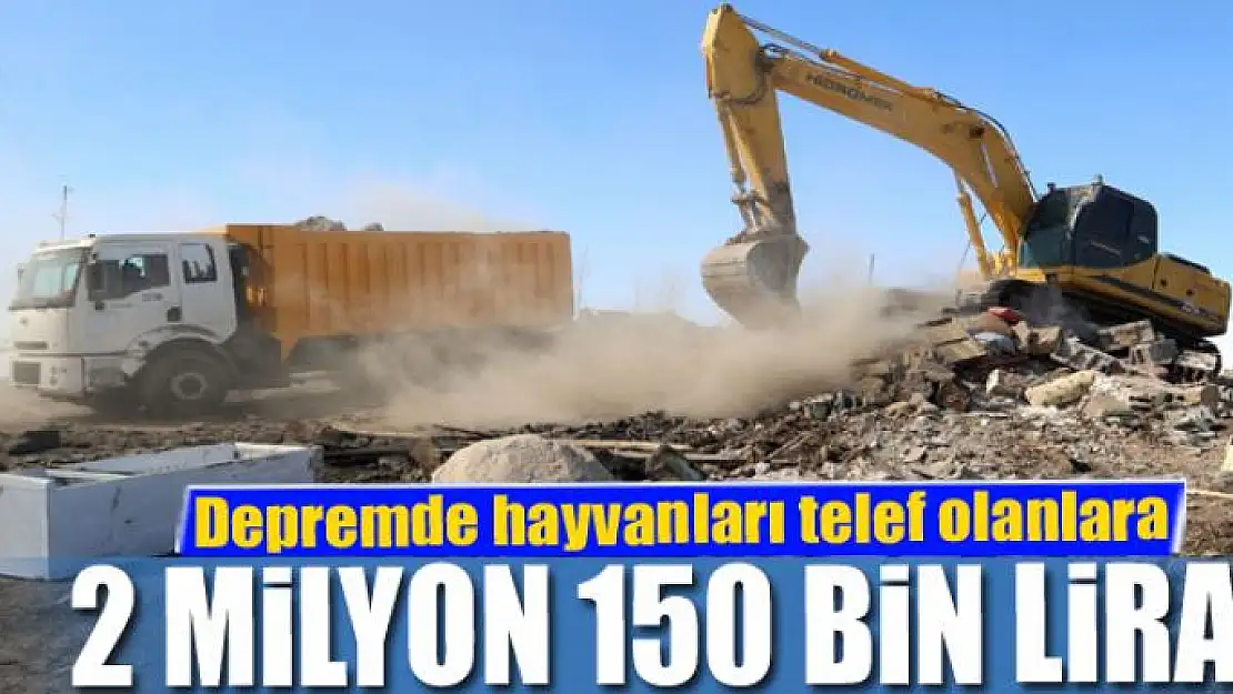 Van'daki depremde hayvanları telef olanlara 2 milyon 150 bin lira