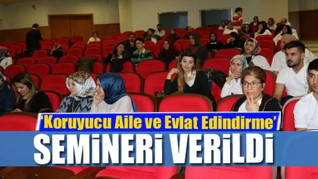 Van'da 'Koruyucu Aile ve Evlat Edindirme' semineri