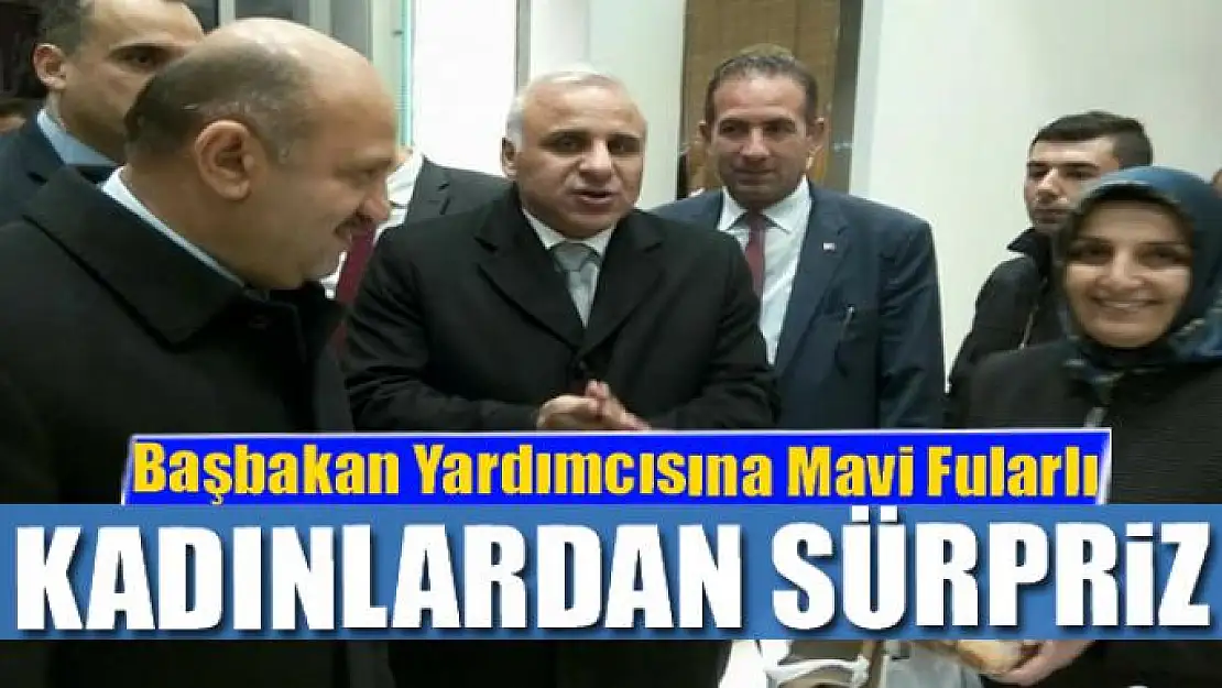 Başbakan Yardımcısına  Vanlı Mavi Fularlı Görentaş'tan sürpriz