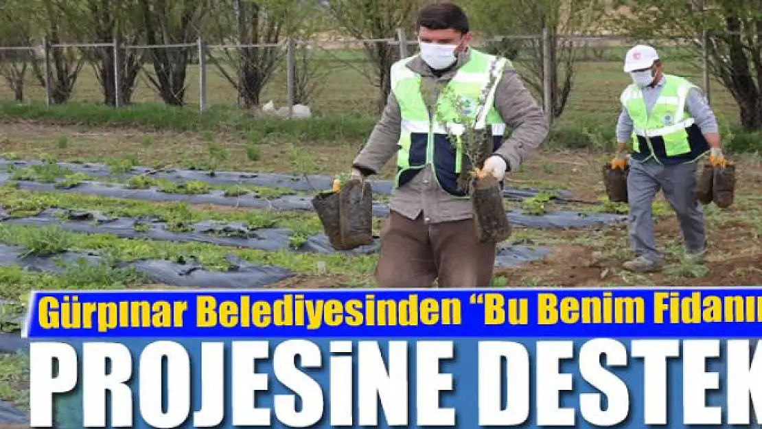 Gürpınar Belediyesinden 'Bu Benim Fidanım' projesine destek