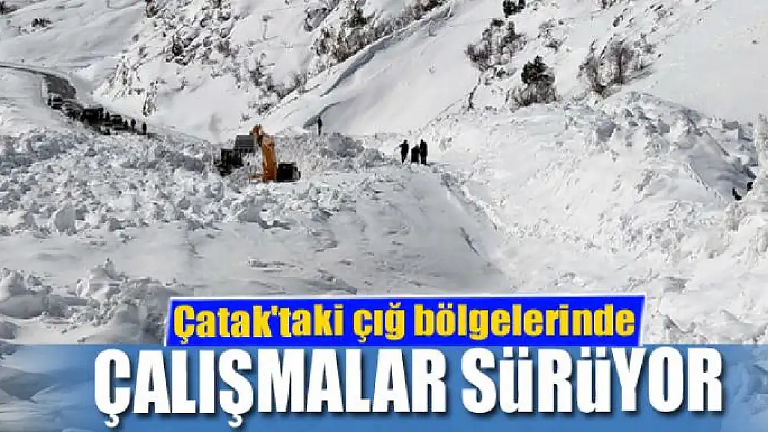 Çatak'taki çığ bölgelerinde çalışmalar sürüyor