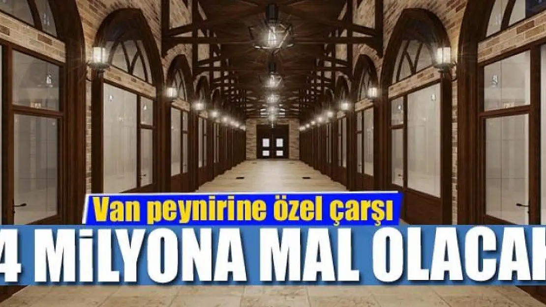 Van peynirine özel çarşı