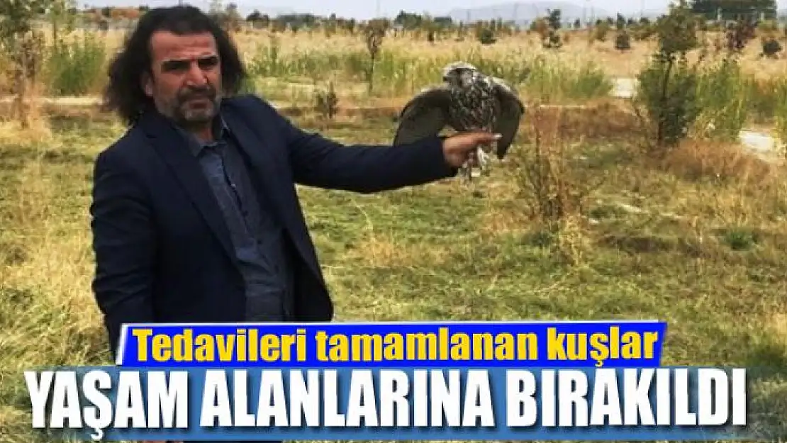 Tedavileri tamamlanan kuşlar yaşam alanlarına bırakıldı