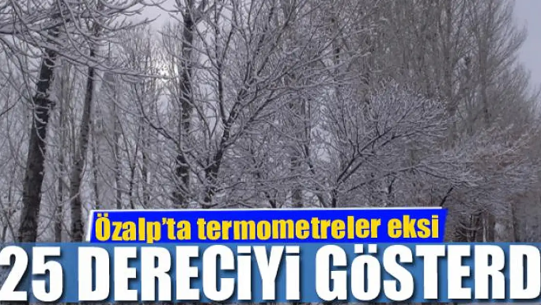 Özalp'ta termometreler eksi 25 dereciyi gösterdi