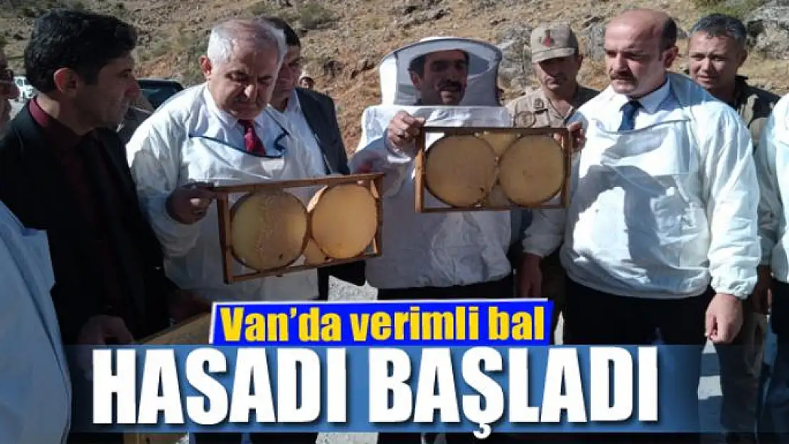 Van'da verimli bal hasadı başladı