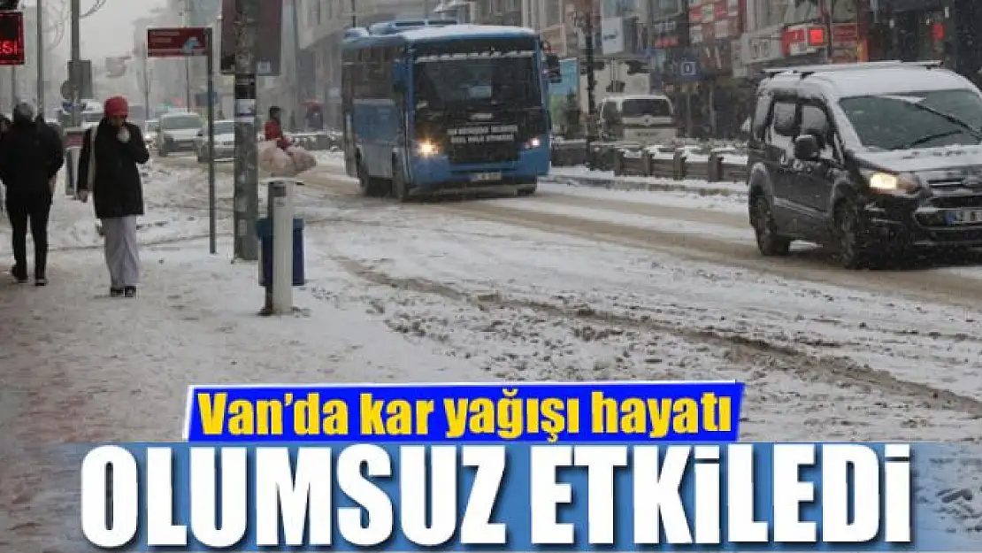 Van'da kar yağışı hayatı olumsuz etkiledi