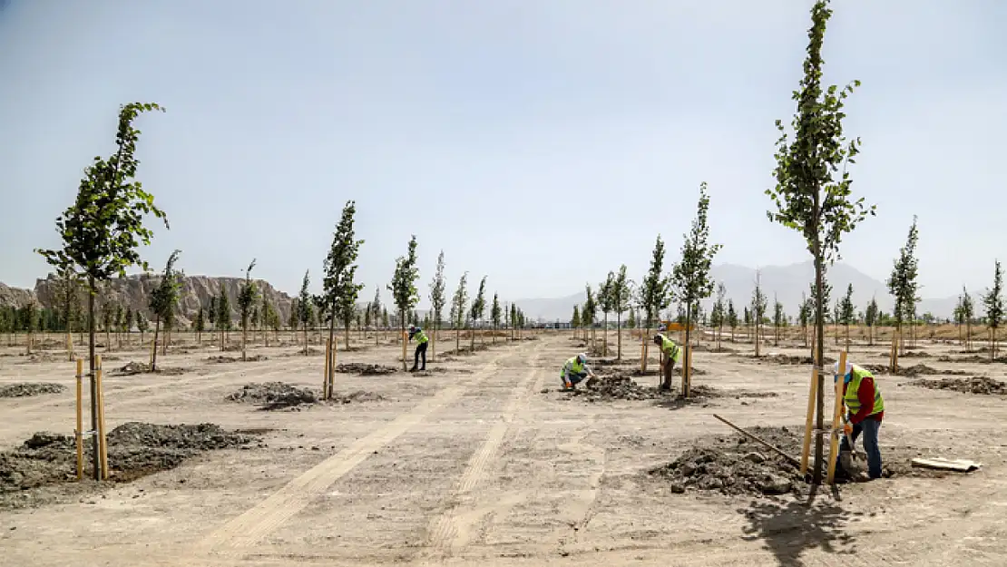 Ihlamur Parkı Van'a renk katıyor