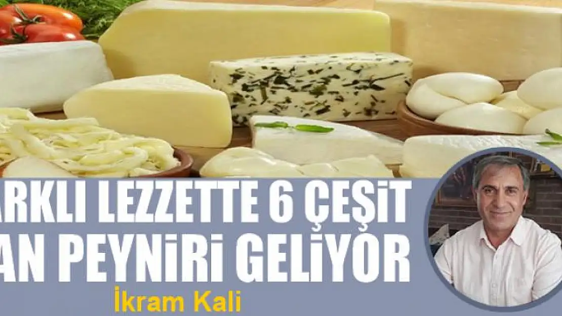 Farklı lezzette 6 çeşit Van peyniri geliyor