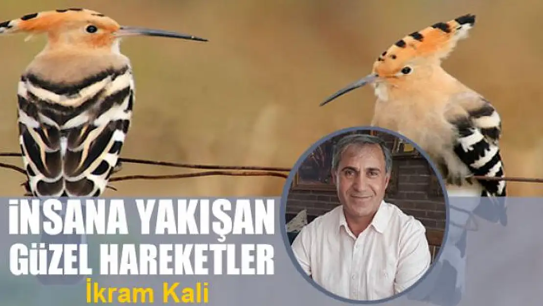 İnsana yakışan güzel hareketler