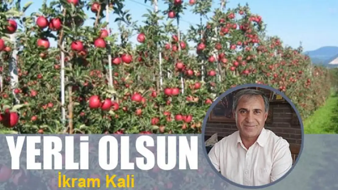 Yerli olsun 