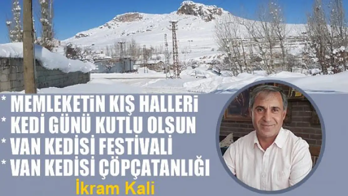 Memleketin kış halleri