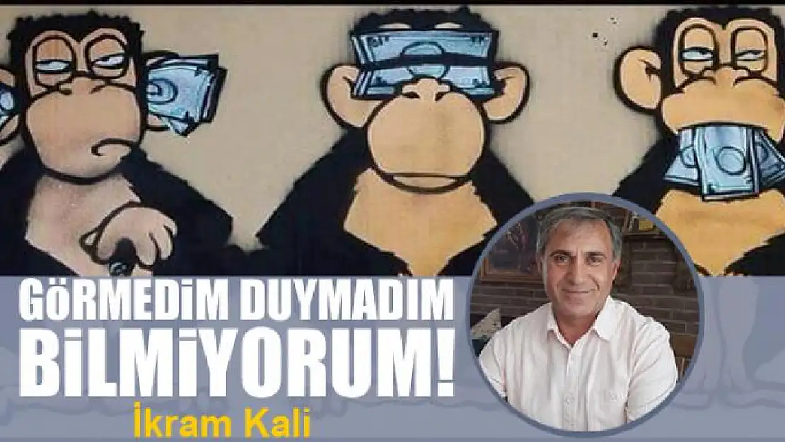 Görmedim duymadım bilmiyorum!