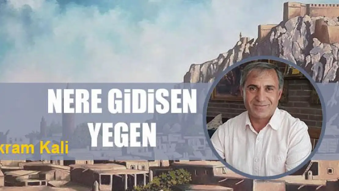 Nere gidisen yegen