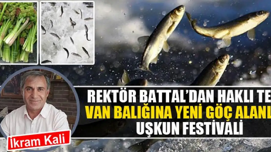 Rektör Battal'dan haklı tepki