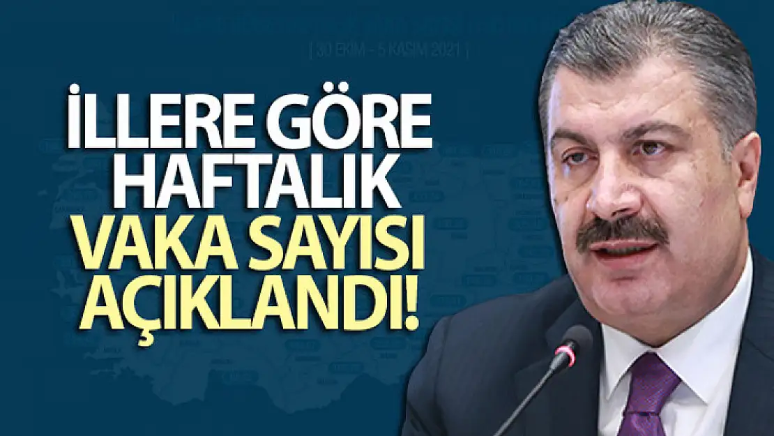 İllere göre haftalık vaka haritası açıklandı