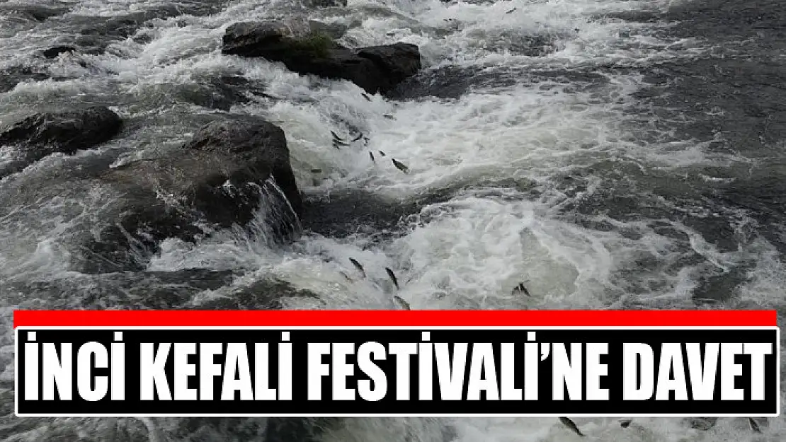 İnci Kefali Festivali'ne davet