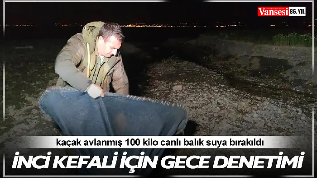 İnci kefali için gece denetimi