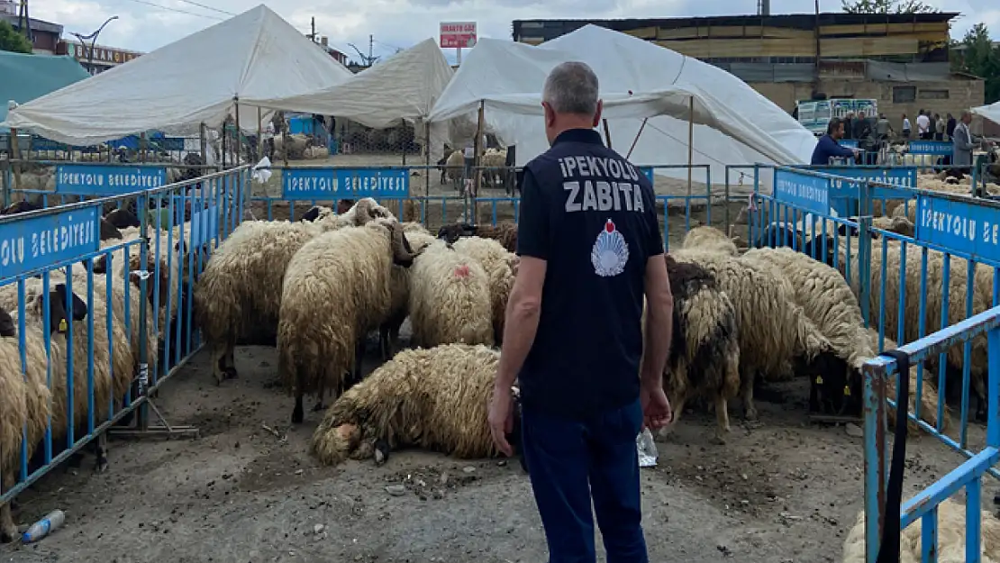 İpekyolu Belediyesi'nden Kurban Bayramı denetimi