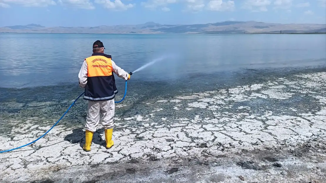 İpekyolu Belediyesi'nden vektörle mücadele çalışmaları