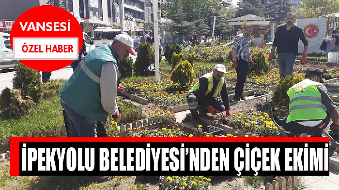 İpekyolu Belediyesi'nden çiçek ekimi