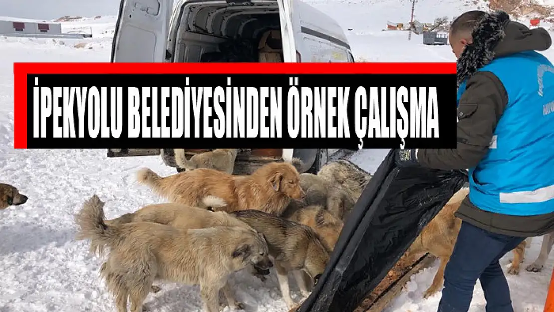 İPEKYOLU BELEDİYESİNDEN ÖRNEK ÇALIŞMA