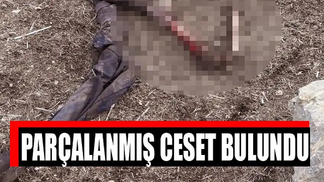 İran sınırında parçalanmış ceset bulundu