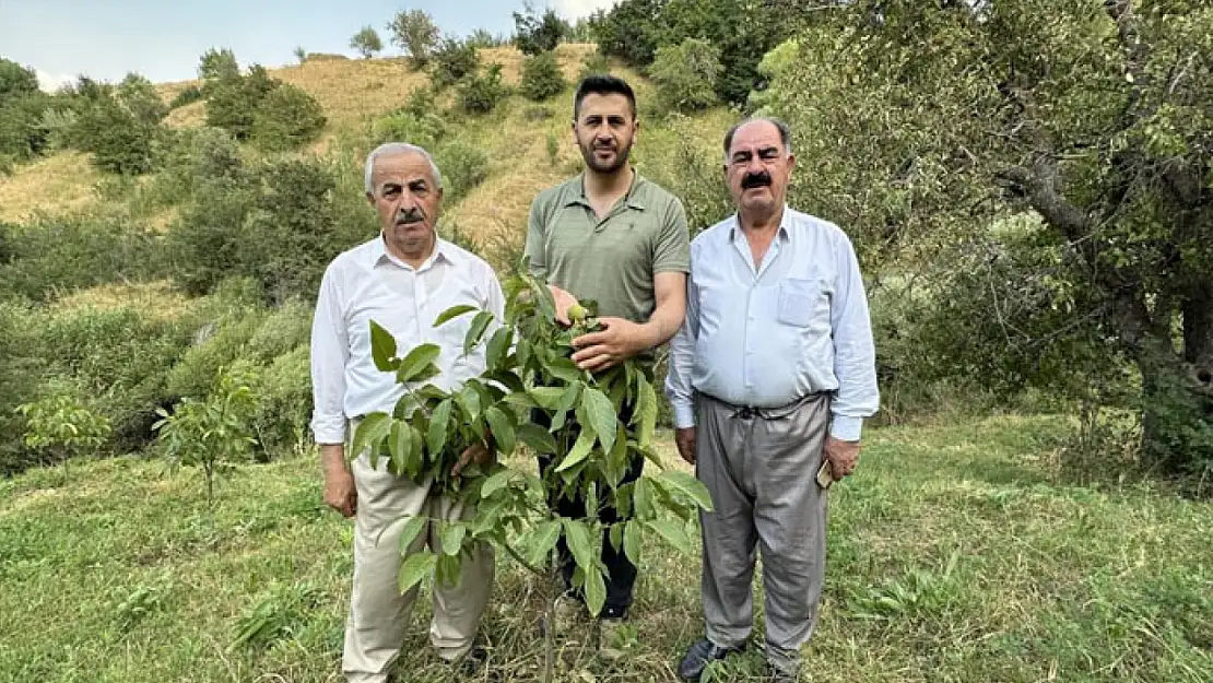 İran sınırını 'Yeşil Vadi'ye çevirdi