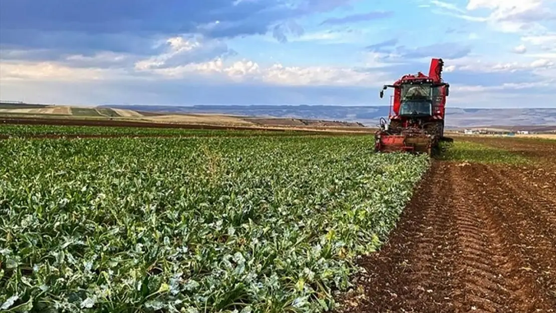 İşlenmeyen araziler kiralama modeliyle kırsal ekonomiye can verecek