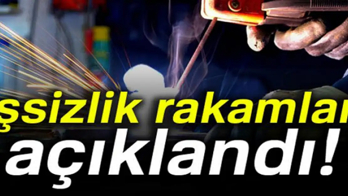 Ağustos ayı işsizlik rakamları açıklandı