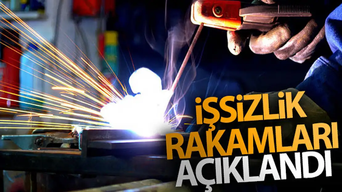 İşsizlik oranı 2021 yılı son çeyrekte yüzde 11,2 oldu