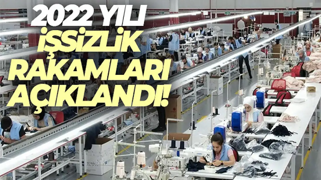 İşsizlik oranı 2022 yılında yüzde 10,4 oldu