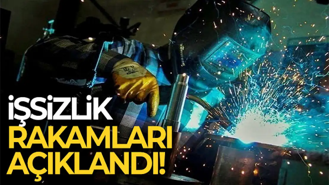 İşsizlik rakamları açıklandı