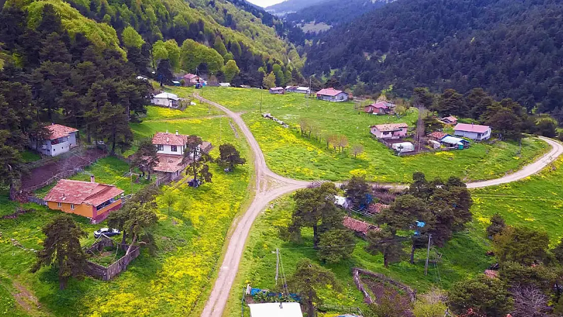 İsviçre Alpleri değil Amasya yaylaları