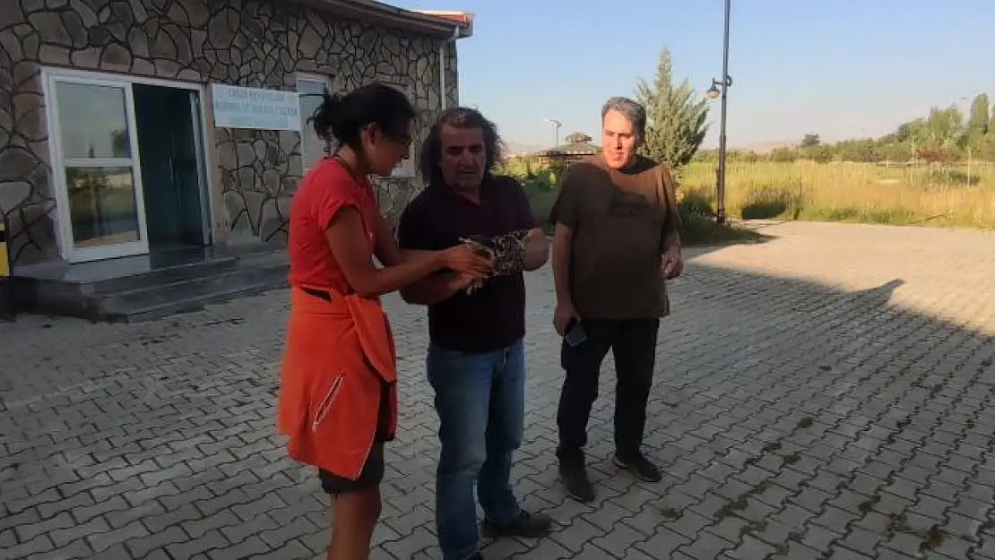 İtalya'dan Van'a geldiler, doğaya kuş saldılar