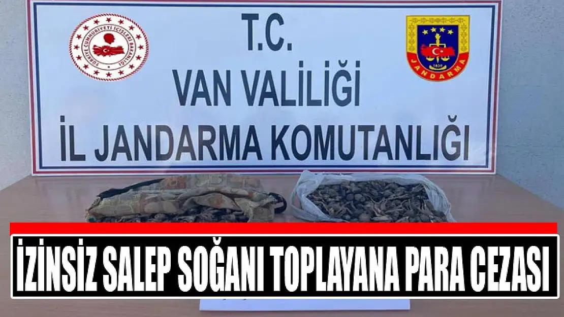 İzinsiz salep soğanı toplayana para cezası