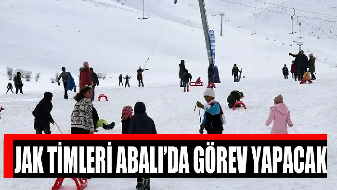 JANDARMA ARAMA KURTARMA TİMLERİ ABALI'DA GÖREV YAPACAK