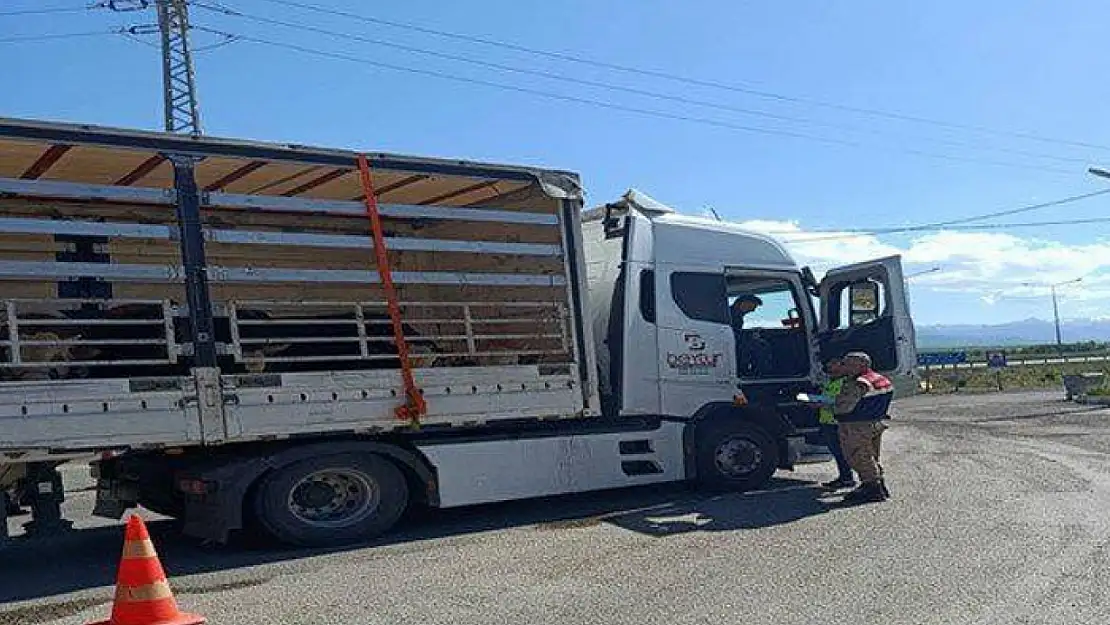 Jandarma ekiplerinden düzensiz göçmen operasyonu