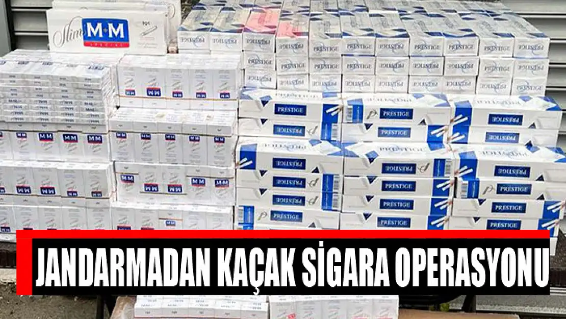 Jandarmadan kaçak sigara operasyonu