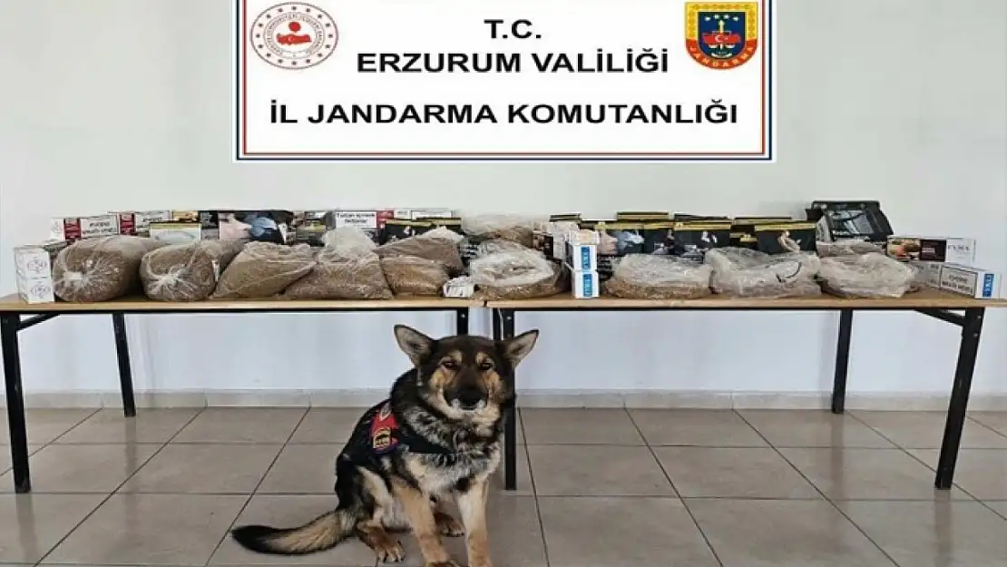 Jandarmadan kaçakçılara operasyon