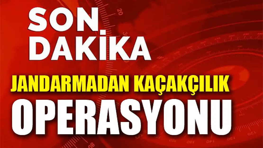 Jandarmadan kaçakçılık operasyonu