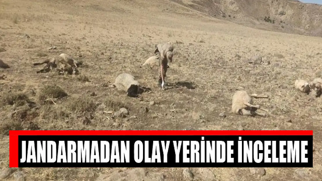 Jandarmadan olay yerinde inceleme