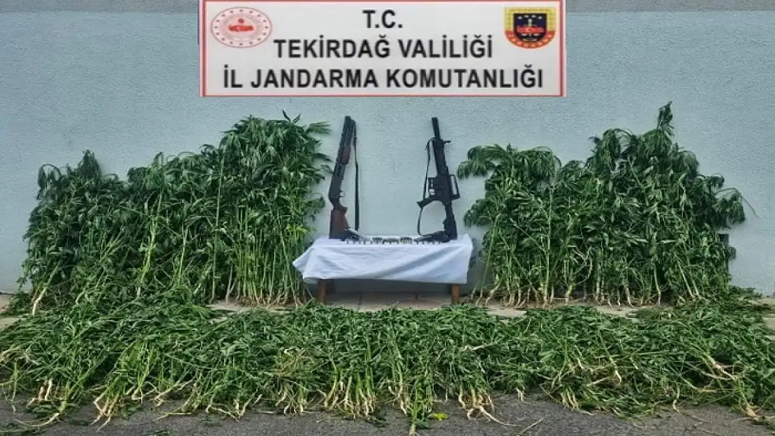 Jandarmadan uyuşturucu ve silah operasyonu