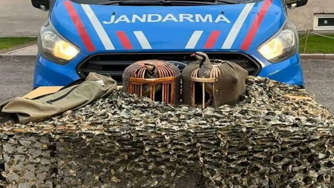 Jandarmadan yasa dışı keklik avcılarına suçüstü