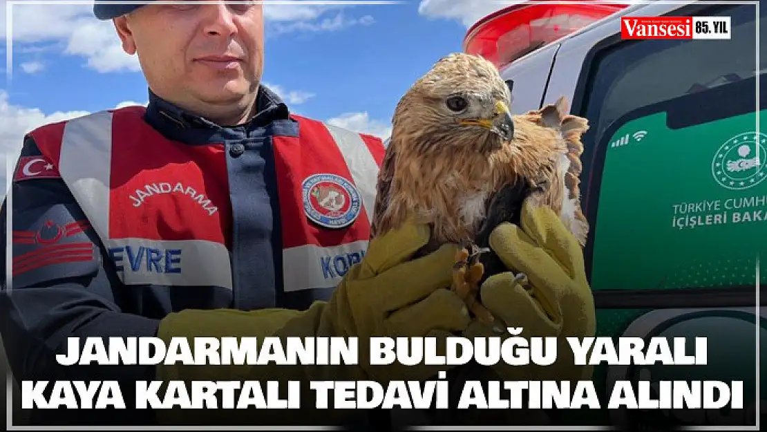 Jandarmanın bulduğu yaralı kaya kartalı tedavi altına alındı