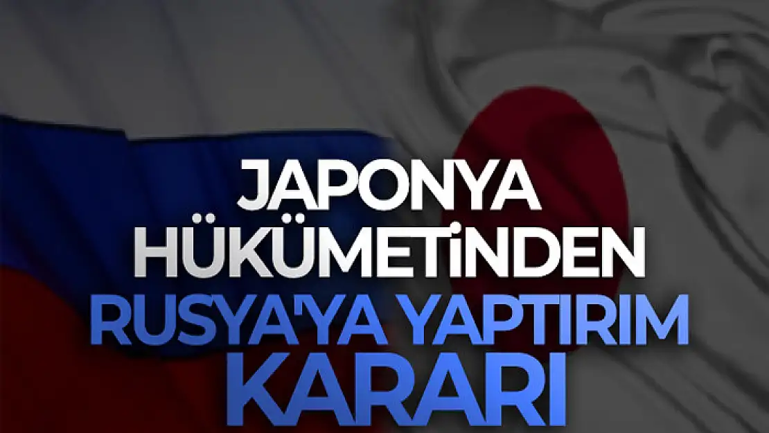 Japonya hükümetinden Rusya'ya yaptırım kararı