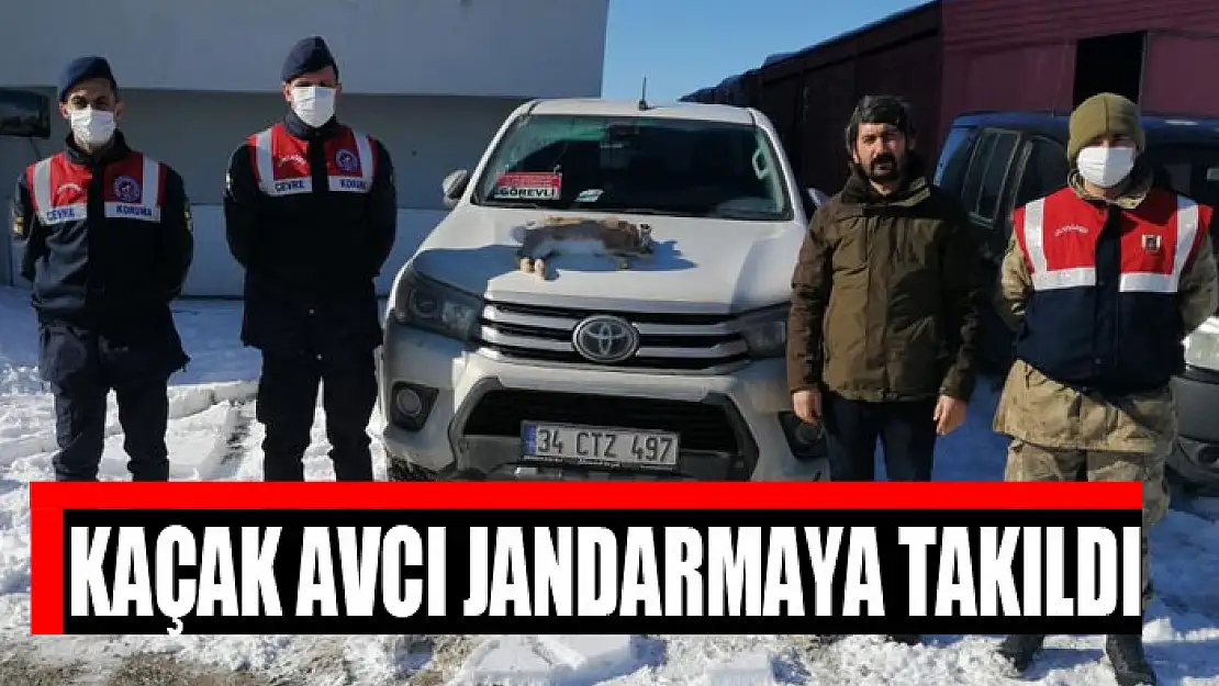 KAÇAK AVCI JANDARMAYA TAKILDI