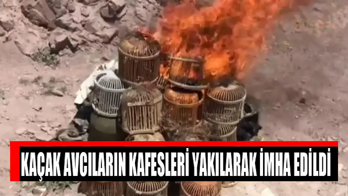 Kaçak avcıların kafesleri yakılarak imha edildi