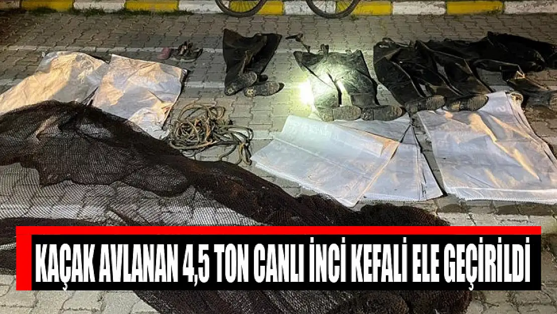 Kaçak avlanan 4,5 ton canlı inci kefali ele geçirildi